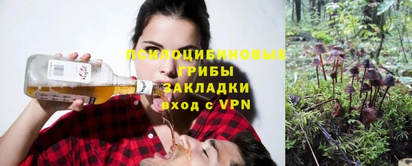 а пвп мука Армянск