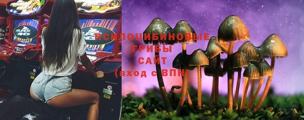 а пвп мука Армянск